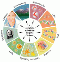 /album/la-biologia/biologia-ramas-gif/